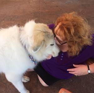 Meet your Posher, Megan